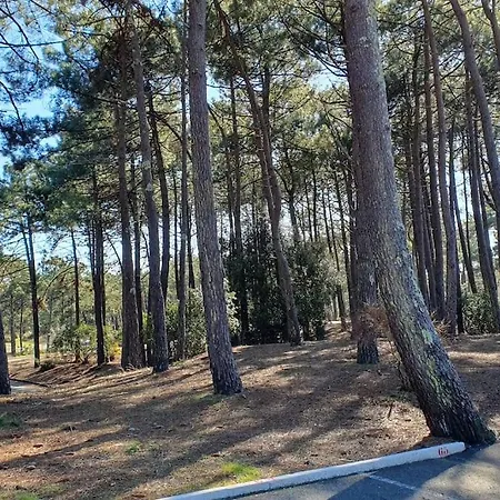 Charmante Maison Dans La Pinede 4 Pers. *